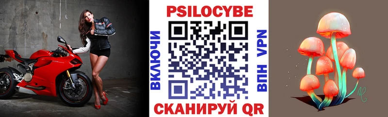 Псилоцибиновые грибы Cubensis  где продают   Семилуки 