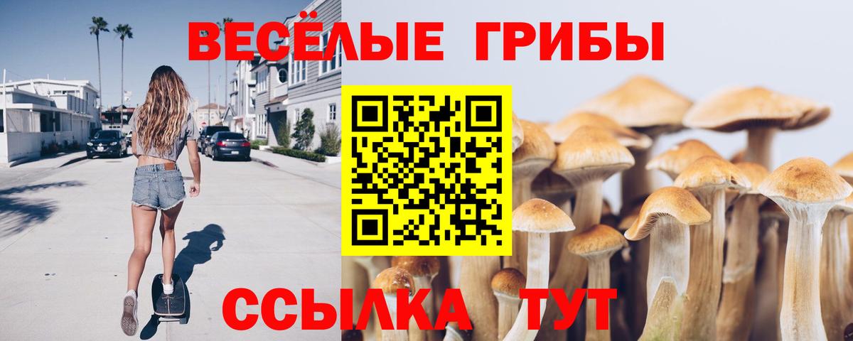 купить наркотики цена  Вход с VPN  Семилуки  Галлюциногенные грибы прущие грибы 